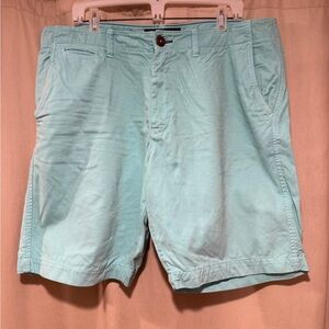 American Eagle Outfitters Teal Flat Front Chino Shorts